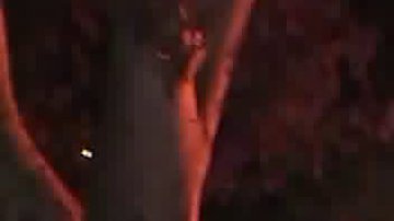 Las autoridades acordonaron el lugar de los hechos.