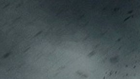 La temporada 8 de "The Walking Dead" tuvo una caída de audiencia