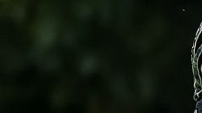 Alfredo Talavera desea regresar a la Selección Mexicana y ser el titular en la Copa del Mundo.