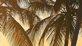 volkswagen-id_buzz_concept-2017-1280-03-1