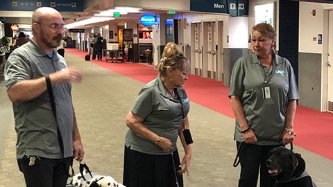 Voluntarios recorren los pasillos de la central aérea provocando sorpresa y sonrisas.