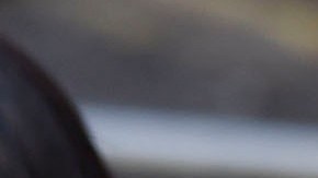 El príncipe Enrique y Meghan Markle.