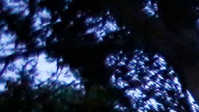 José, el primero en la fila, se alista para recibir asistencia para renovar su solicitud de programa de DACA.