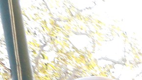 Activistas proinmigrantes lanzaron ayer un esfuerzo para convertir en ciudadanos a 1,000 residentes permanentes. (Aurelia Ventura/ La Opinion)