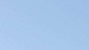 Los mexicanos radicados en EEUU apoyan a su país natal.