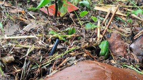 Conmoción por el hallazgo /EFE