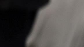 El contador de Auschwitz, EFE