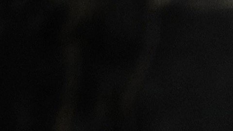 Trump durante su primer discurso del Estado de la Unión. EFE