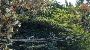 Ola de violencia en Acapulco. /EFE