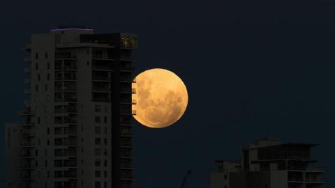 Eclipse Lunar, /EFE