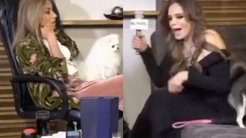 Lucía Méndez y Adela Micha vivieron un momento incómodo durante una entrevista en vivo