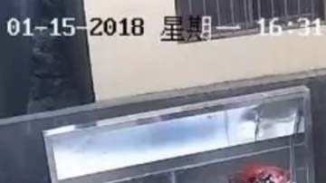 La bebé nació a los ocho meses.