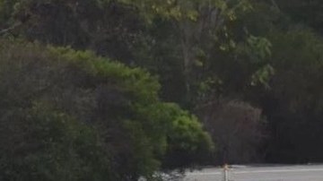 Un auto atrapado en una zona inundada de la autopista 101.