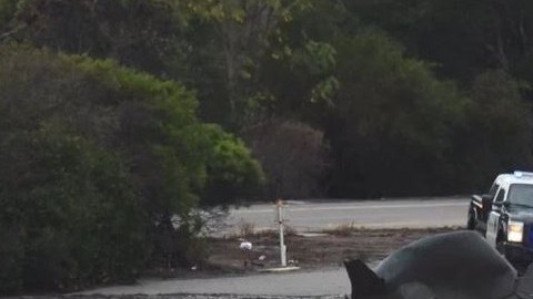 Un auto atrapado en una zona inundada de la autopista 101.