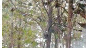 Accidente de avioneta Costa Rica