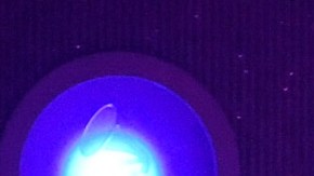 Siguen gozando del éxito de "Despacito"