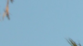 Los fans de México podrán disfrutar del juego del Tri vs Islandia en Santa Clara, este 23 de marzo. (Juan Carlos Sierra / La Opinión de la Bahia)