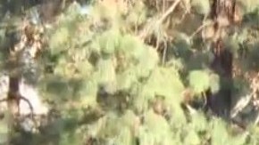 Voluntarios reparten comida a personas desamparadas en el parque Wells.