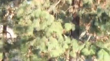 Voluntarios reparten comida a personas desamparadas en el parque Wells.