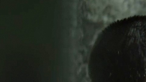 Serie "premium" de Telemundo, "El Recluso", consta de 13 capítulos