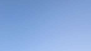 A un año de la posesión de Trump la comunidad inmigrante es la que más ha sufrido