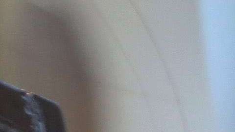 USCIS busca reducir los fraudes en los programas de asilo.