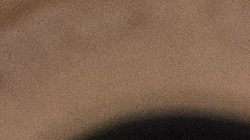 Dice que es culpa de los demócratas la falta de control a la venta de armas