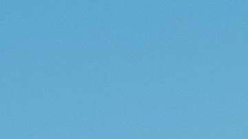 El presidente Trump ha sido criticado por sus exabruptos.