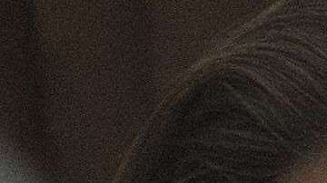 Bannon era uno de los hombres más poderosos en la Casa Blanca.