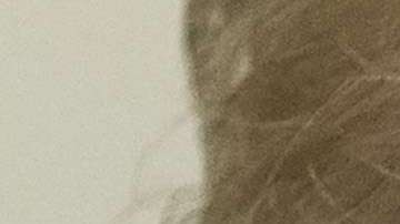 El presidente Trump habló hasta hoy del tiroteo en Kentucky.