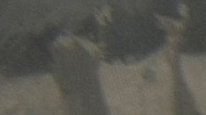 No se detectó influencia de sitios de “noticias falsas” en el debate migratorio