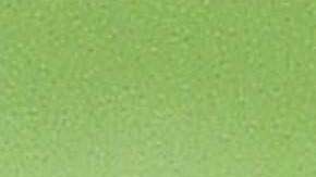 Continúa la duda sobre distanciamiento de la Primera Dama de su esposo.