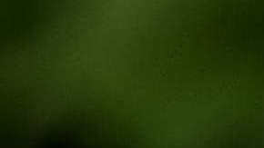 La familia de Kushner ofreció EB-5 en China.