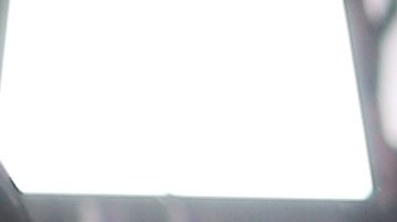 Rita Ora, Sting y Shaggy.