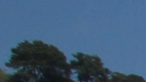 Habitantes de la comunidad San Felipe del Ocote huyen de la violencia.