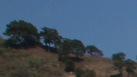 Habitantes de la comunidad San Felipe del Ocote huyen de la violencia.