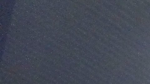 Landon Donovan fue presentado oficialmente este lunes con el León