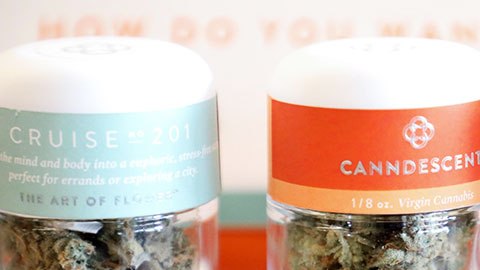 La legalización del consumo recreacional de marihuana pudiera ser imitada muy pronto en otros estados del país.