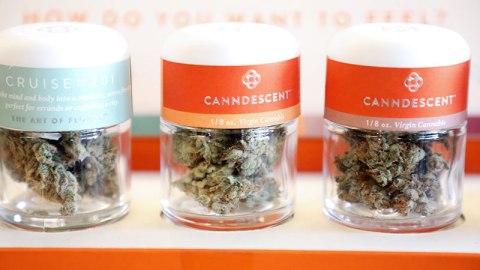 La legalización del consumo recreacional de marihuana pudiera ser imitada muy pronto en otros estados del país.