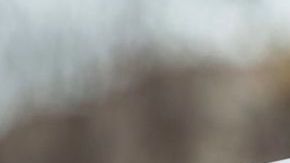 Expertos advierten de lo que sería la próxima movida migratoria del gobierno Trump