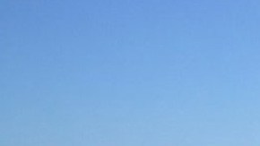 Cientos de personas viajan entre Ventura y Santa Bárbara gracias a dos compañías que ofrecen esa ayuda tan singular.