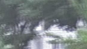 Agentes del FBI han hecho pasar a miembros de otras pandillas como miembros del MS-13