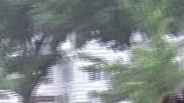 Agentes del FBI han hecho pasar a miembros de otras pandillas como miembros del MS-13