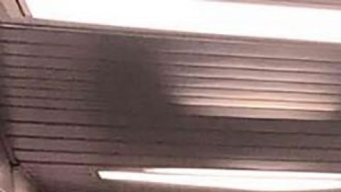 El piloto de un vuelo a Oklahoma le pidió matrimonio a la azafata en pleno vuelo.