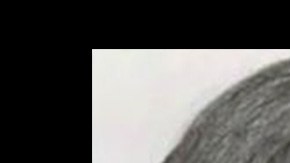 Los dos ladrones fueron descritos como afroamericanos o hispanos y huyeron en un auto Toyota Camry.