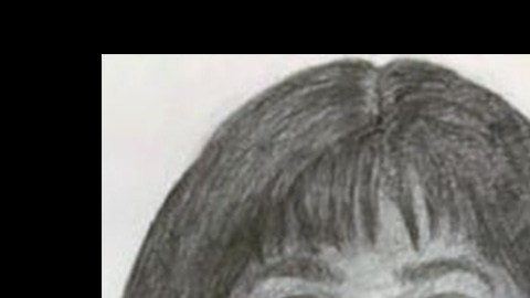 Los dos ladrones fueron descritos como afroamericanos o hispanos y huyeron en un auto Toyota Camry.