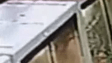 Dos supuestos ladrones roban dos serpientes de una tienda de mascotas, en Phoenix, Arizona.