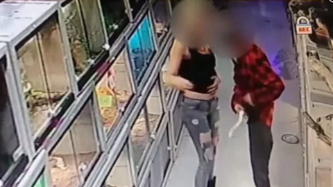 Dos supuestos ladrones roban dos serpientes de una tienda de mascotas, en Phoenix, Arizona.