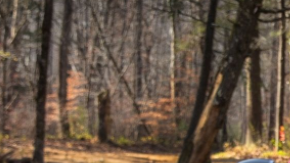 ¿Por qué tanto descontento?