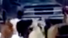 Screen Shot 2018-01-26 at 8.20.15 PM